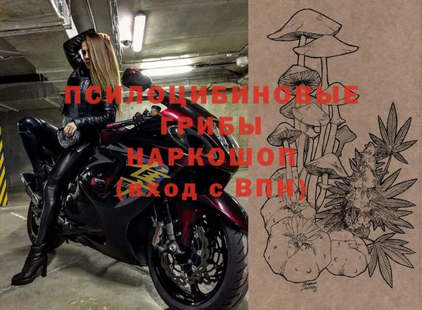 ПСИЛОЦИБИНОВЫЕ ГРИБЫ Зеленокумск