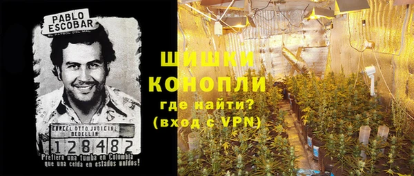 ПСИЛОЦИБИНОВЫЕ ГРИБЫ Зеленокумск