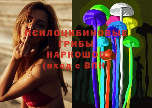 стаф Зерноград