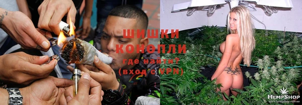 стаф Зерноград