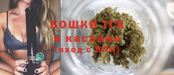 стаф Зерноград