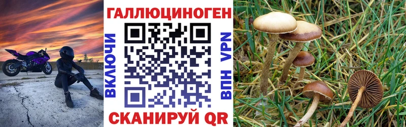 shop клад  купить наркотик  Кирово-Чепецк  Галлюциногенные грибы ЛСД 