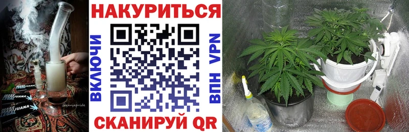 Каннабис индика  Кирово-Чепецк 